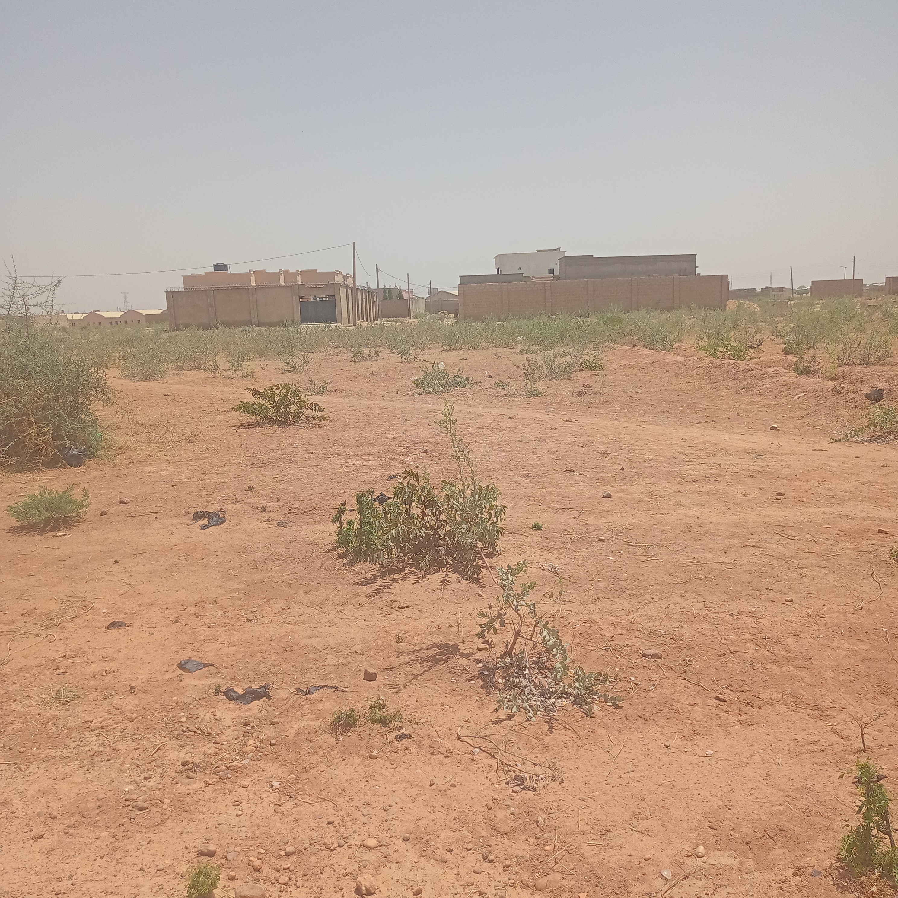 50 x 100 plot for sale