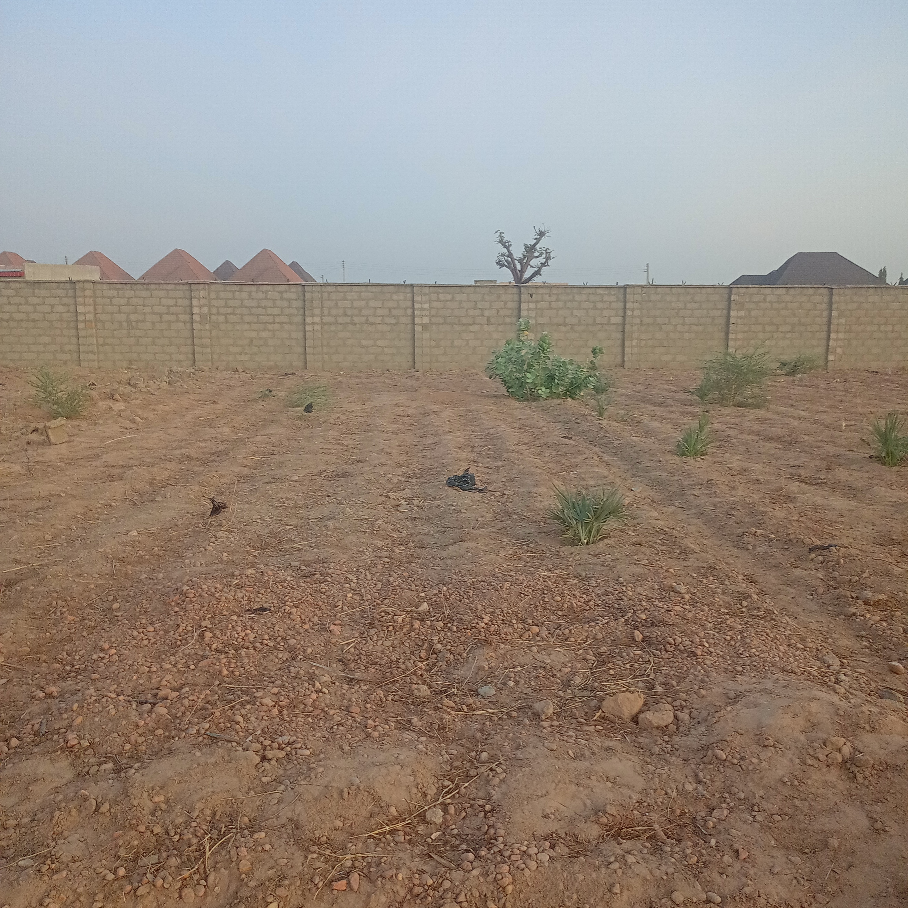 40 x 90 plot for sale at Modoji Katsina