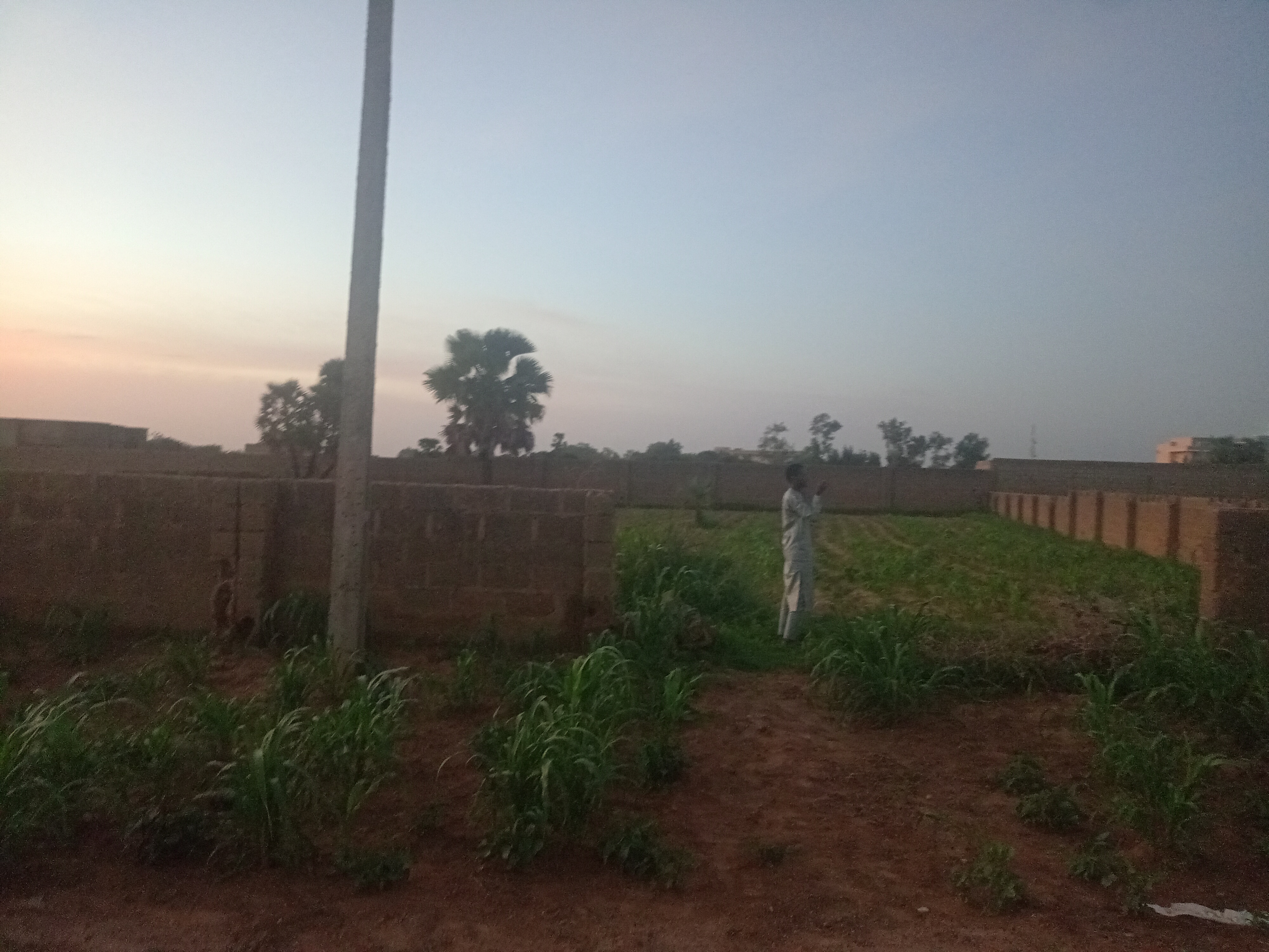 100 x 150 plot for sale at Modoji Katsina State 