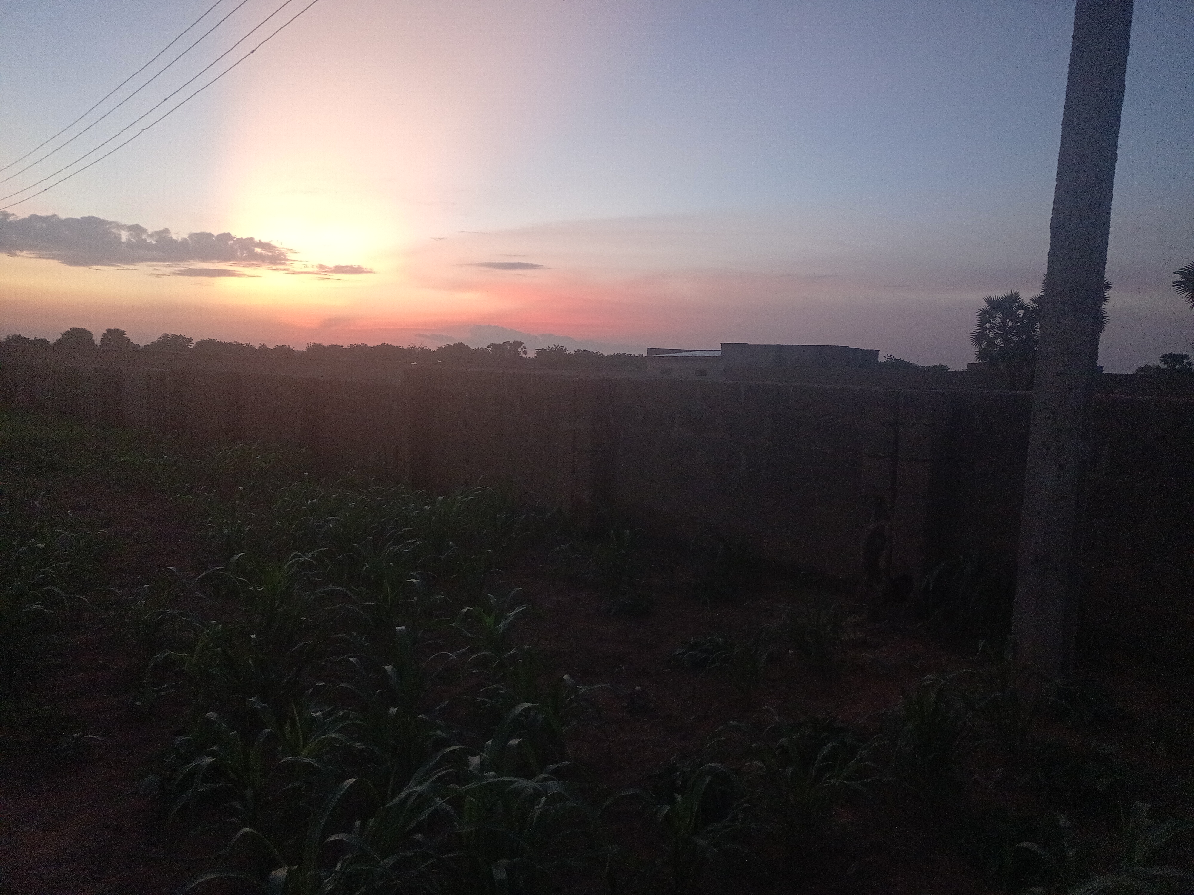 View 3