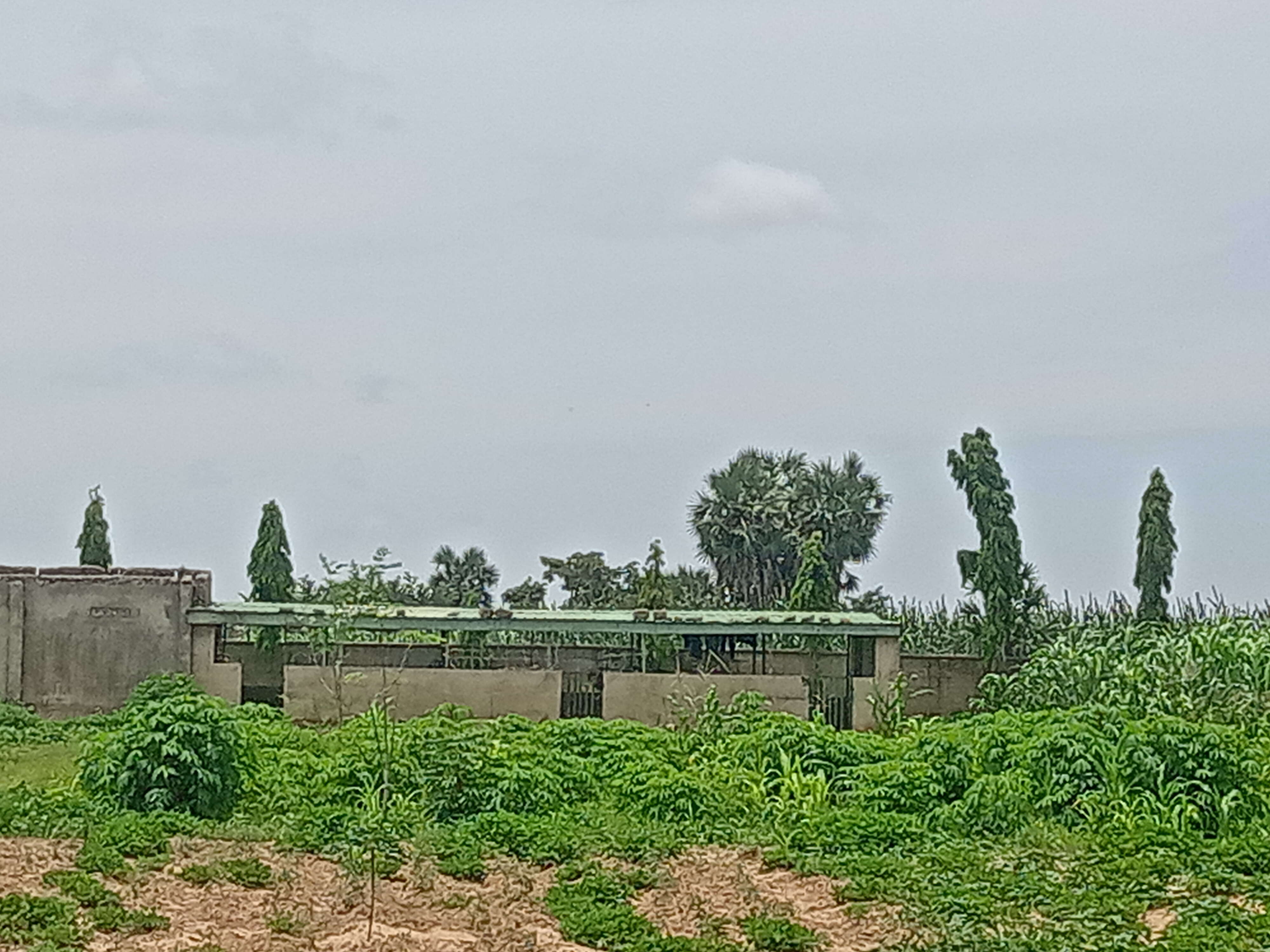 View 3