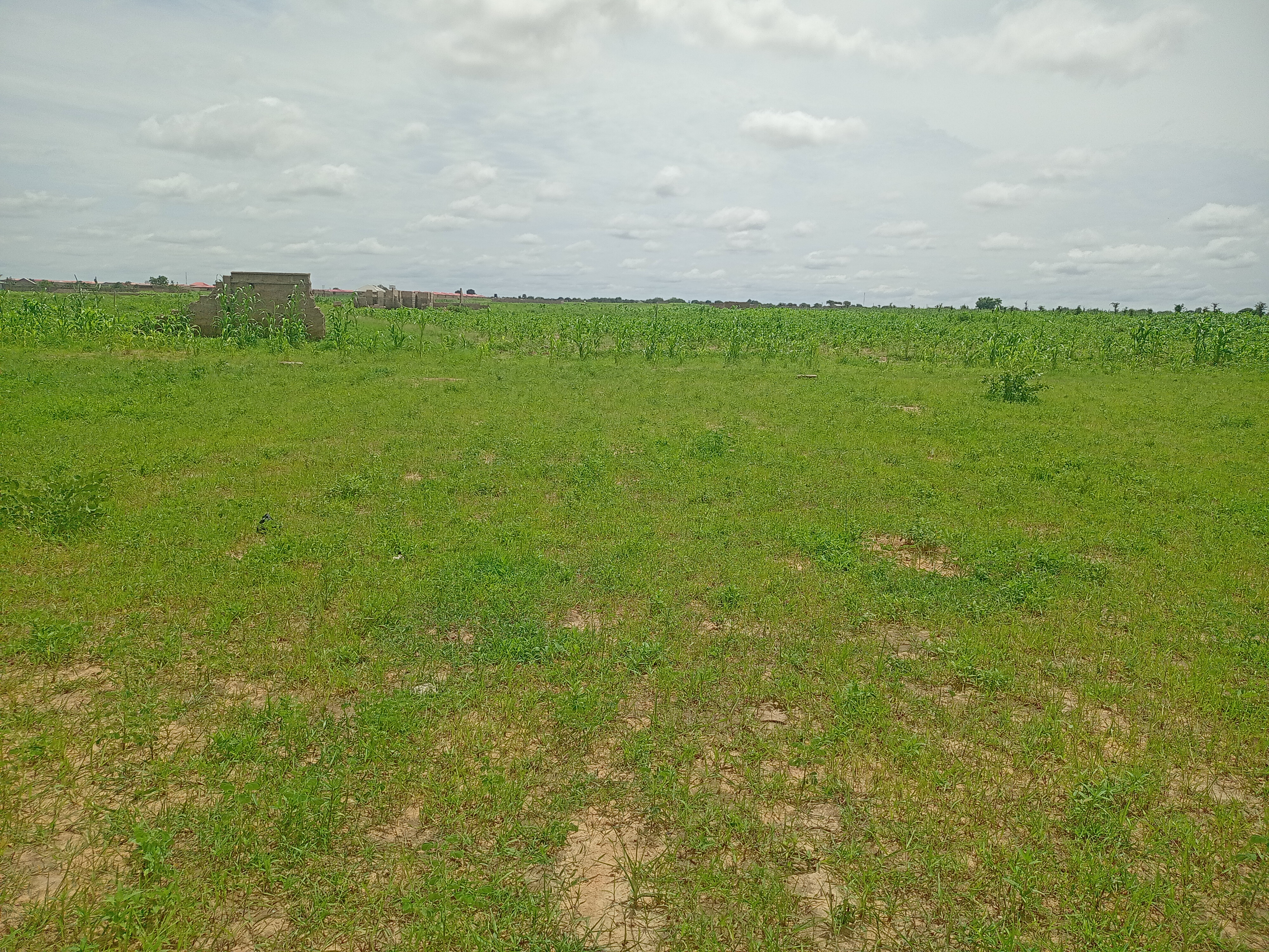 40 x 80 plot for sale at ring road kwarin tama