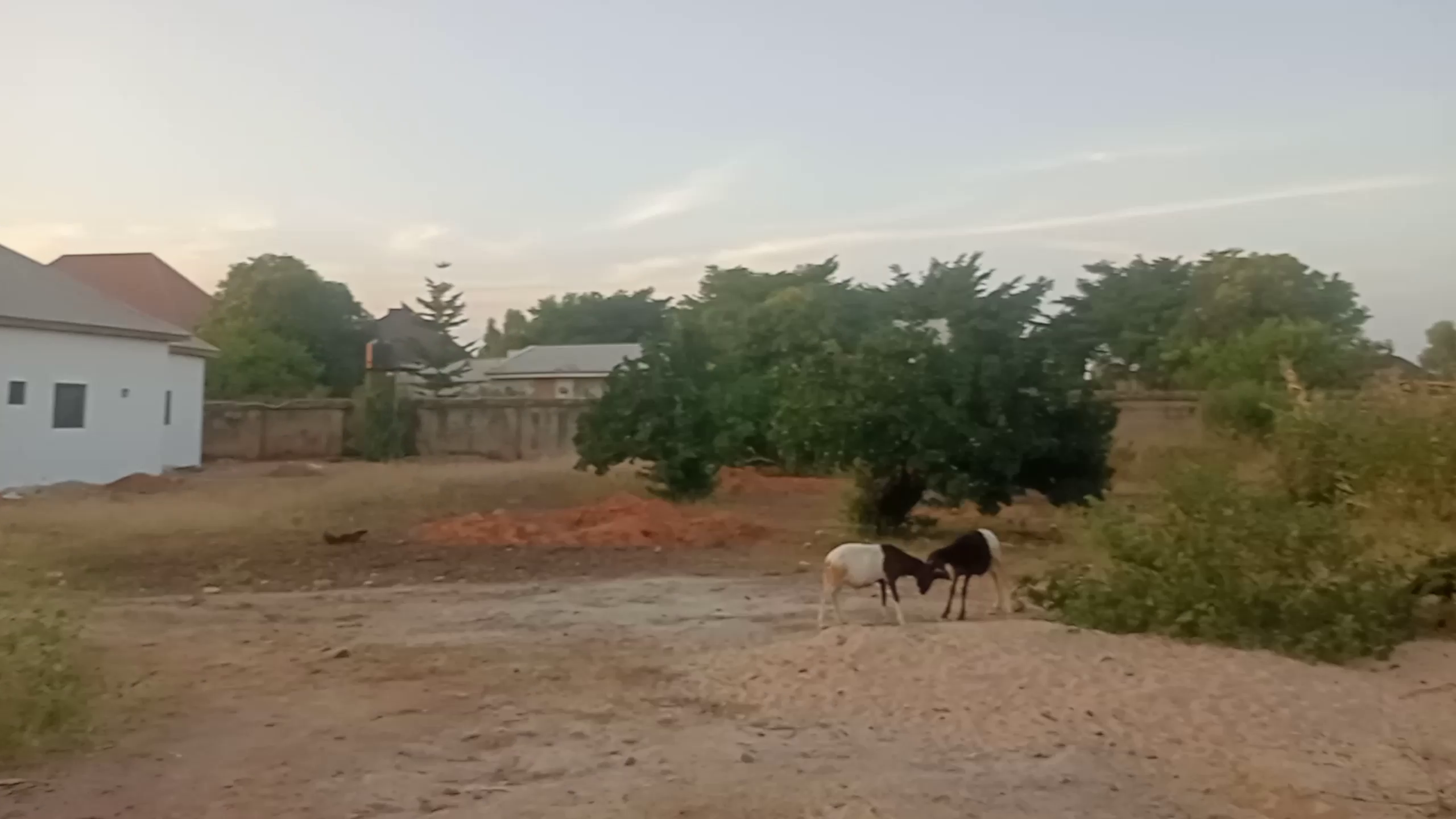 View 3