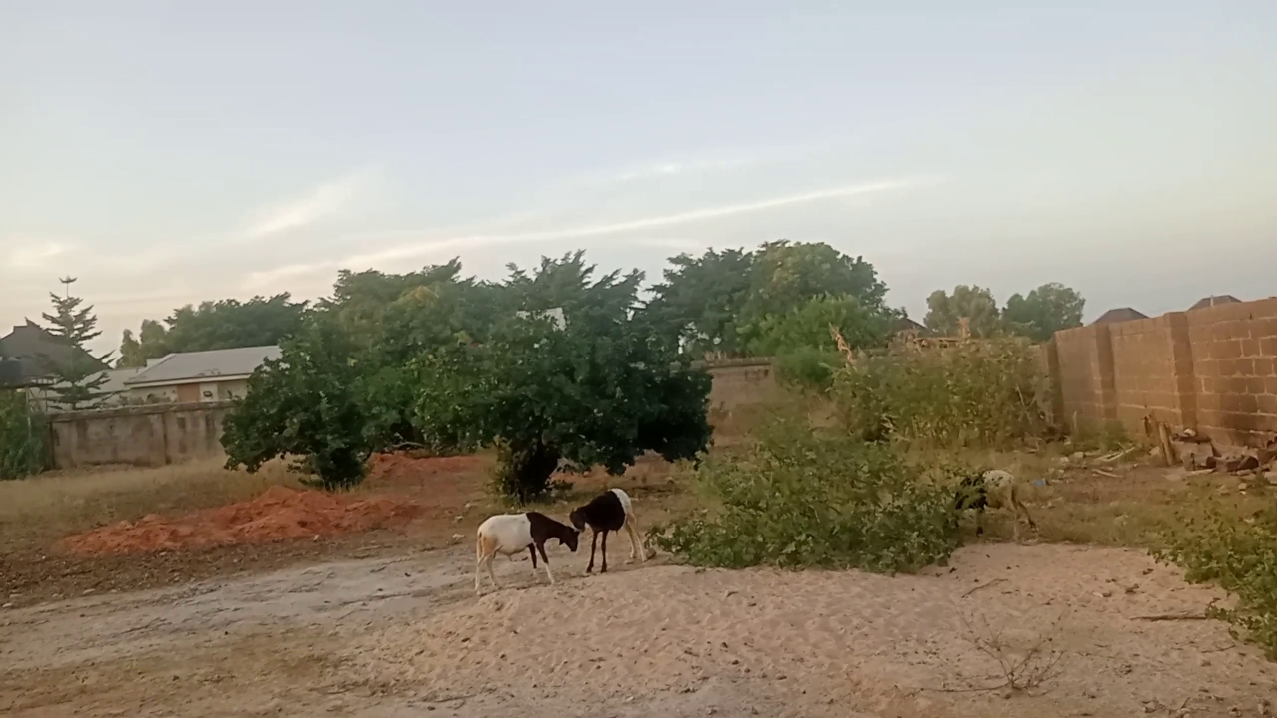 View 2