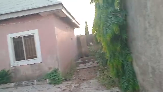 View 2