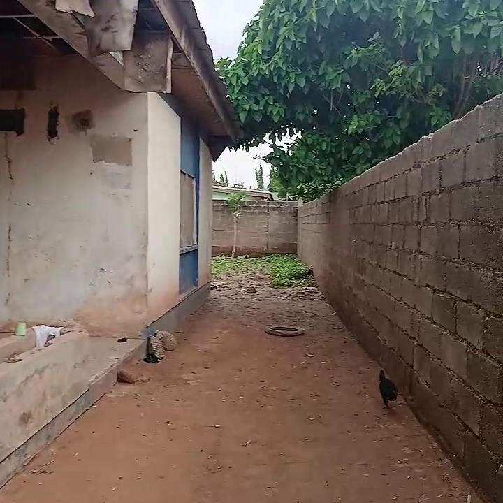 View 2