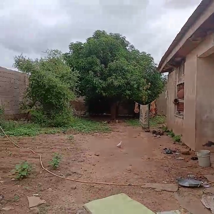 View 3